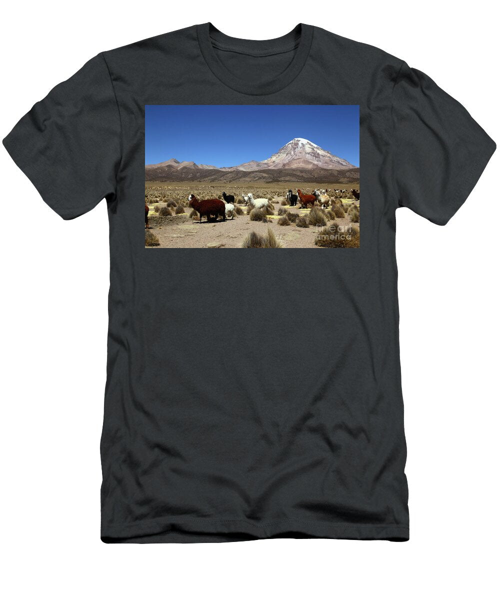 Herd of Alpacas and Sajama Volcano Bolivia James Brunker T-Shirt