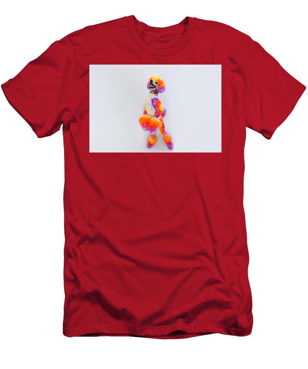 Hijinks Stand Paul Sears Resilient Rover T-Shirt