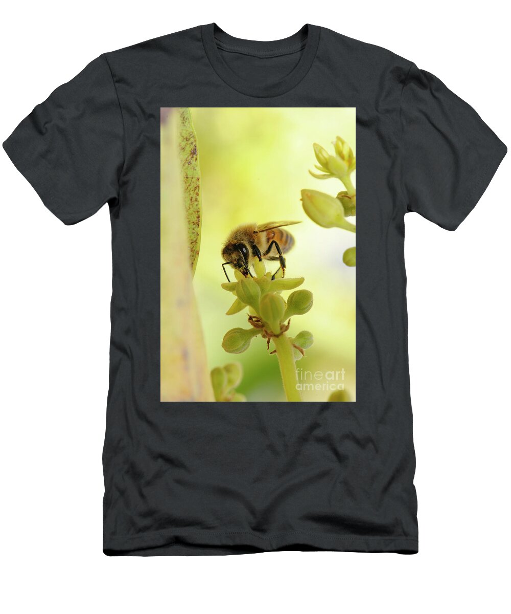 Honey Bee on an Avocado Blossom T1 Hagai Nativ T-Shirt