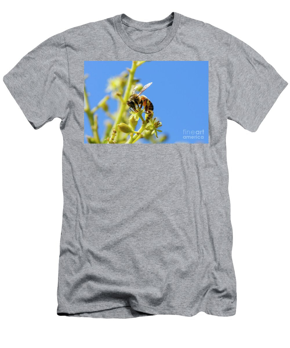 Honey Bee on an Avocado Blossom T3 Hagai Nativ T-Shirt