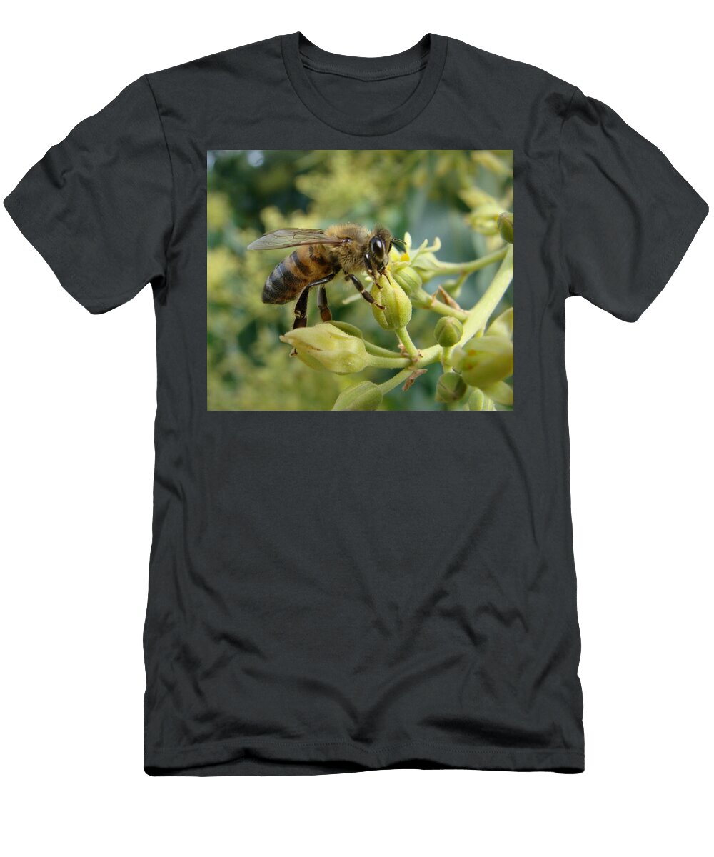 Honey Bee on the Avocado Tree Liz Vernand T-Shirt