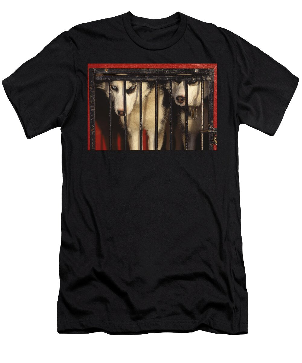 Huskies Laurentian Mts Canada Jose Azel T-Shirt