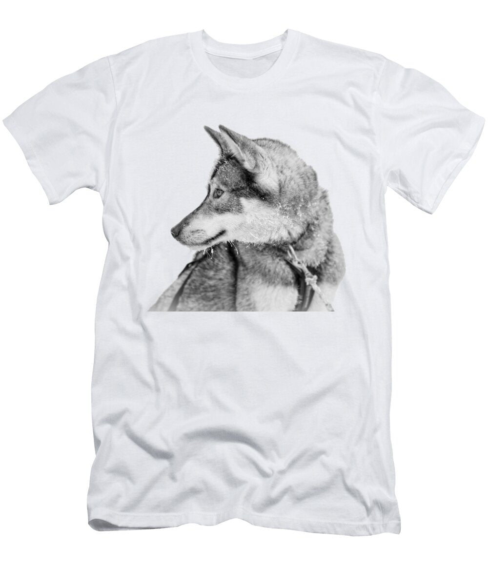 Husky Dog Delphimages Photo Creations T-Shirt