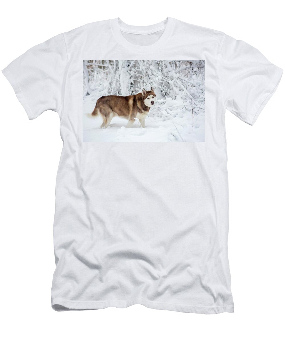 Husky in Snow Julia Cumes T-Shirt