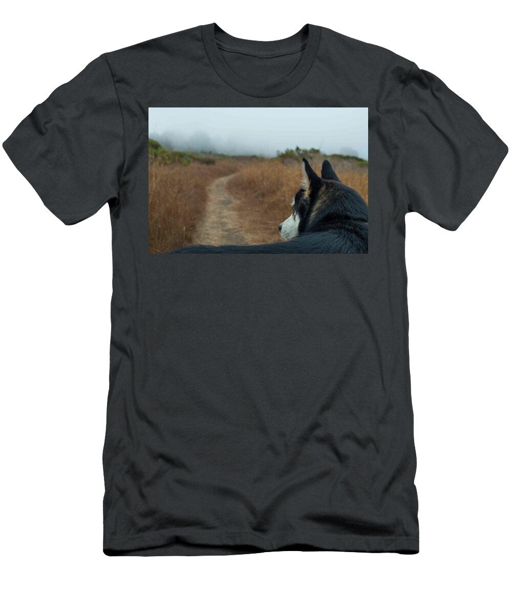 Husky Looks Out At the Foggy Trail Taylor Zann T-Shirt