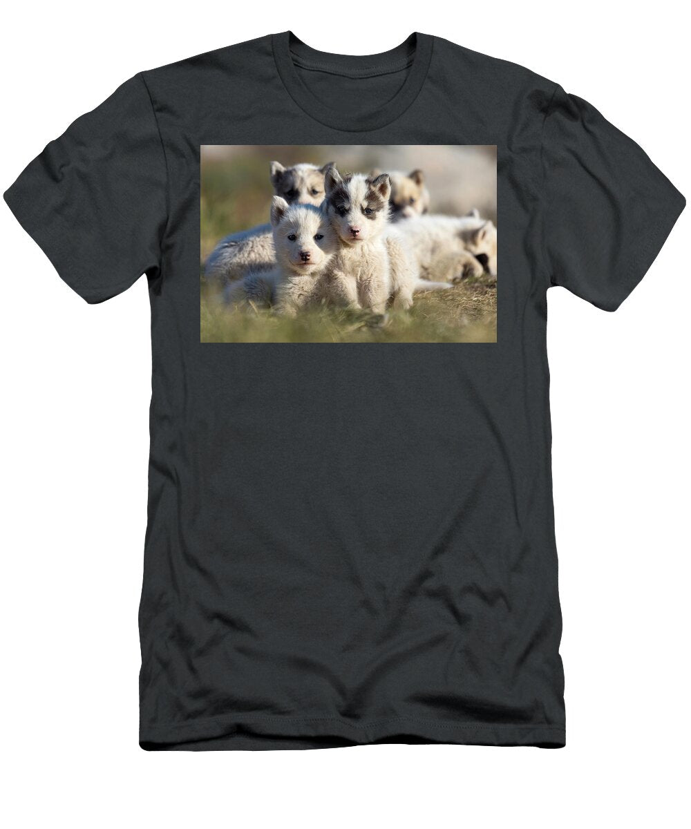 Husky Puppies Luciano Gaudenzio T-Shirt