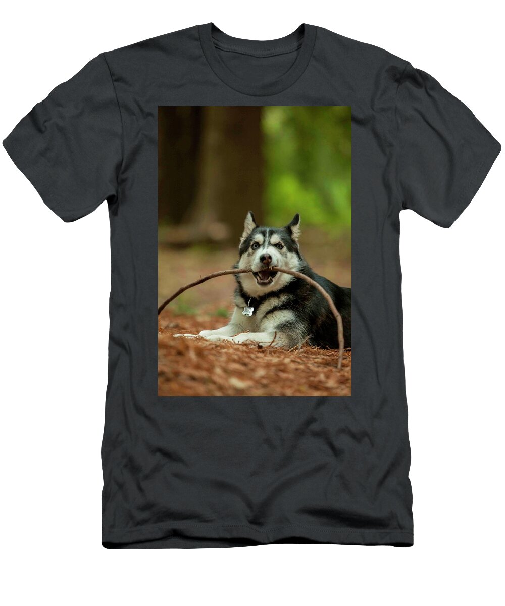 Husky Puppy Chewing on Stick Taylor Zann T-Shirt