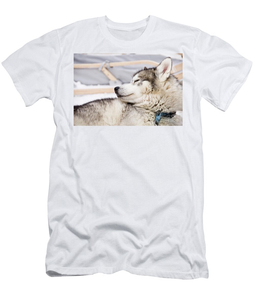 Husky Sled Dog Delphimages Photo Creations T-Shirt