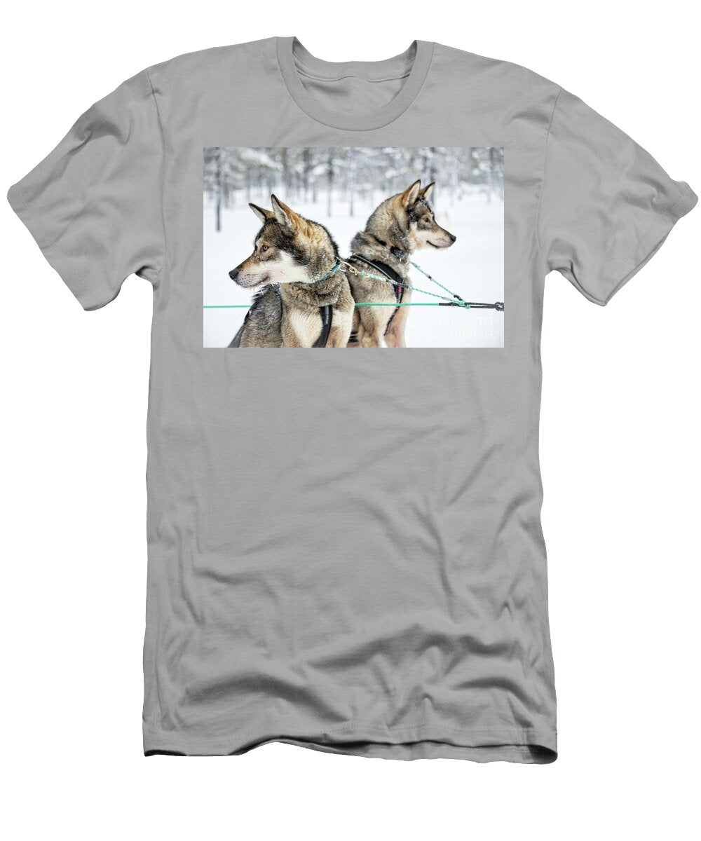 Husky Sled Dogs Delphimages Photo Creations T-Shirt