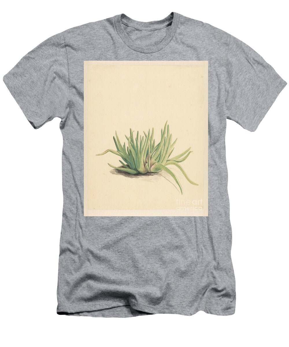 Ice Herb Vincent Jansz Van Der Vinne 1746 1811 Jansz Van Der Vinne T-Shirt
