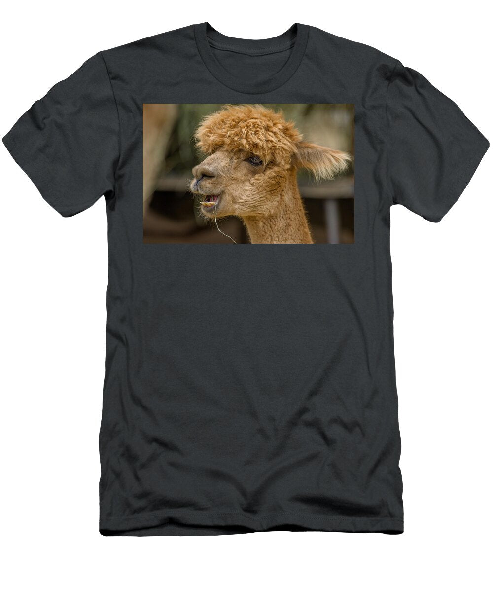 Indignation Greg Nyquist T-Shirt