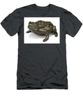 Italian Paduan 16th Century Toad Artistic Rifki T-Shirt