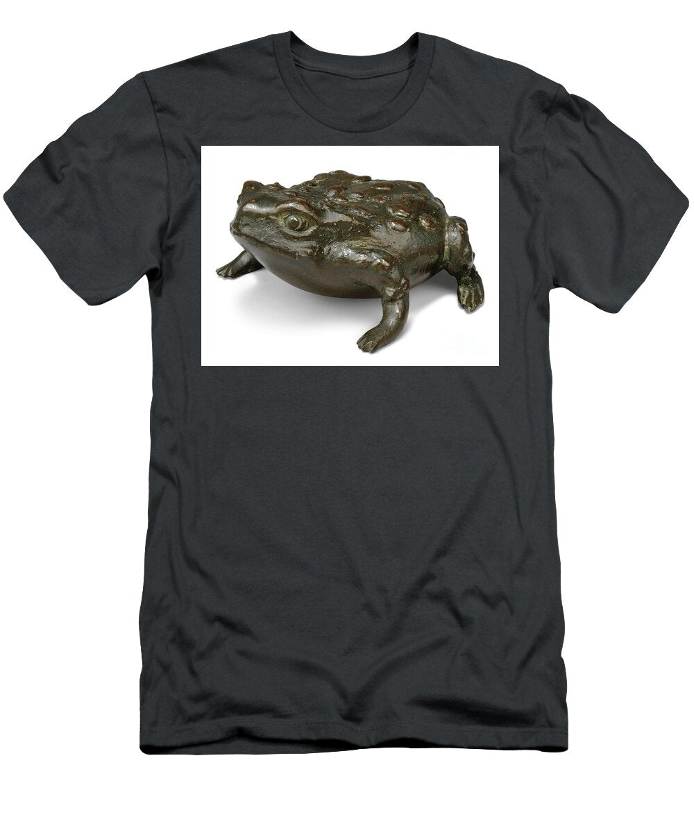 Italian Paduan 16th Century Toad Artistic Rifki T-Shirt