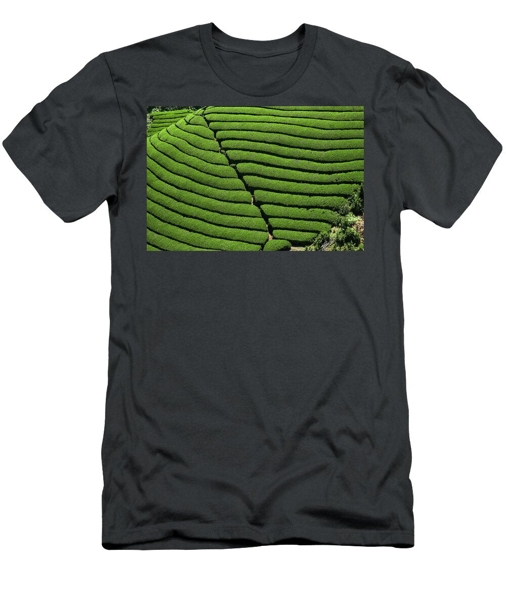 Japan Kinki Kansai Honshu Island Uji Tea Field for Sencha Gyokuro and Matcha Tea Tuul Bruno Morandi T-Shirt