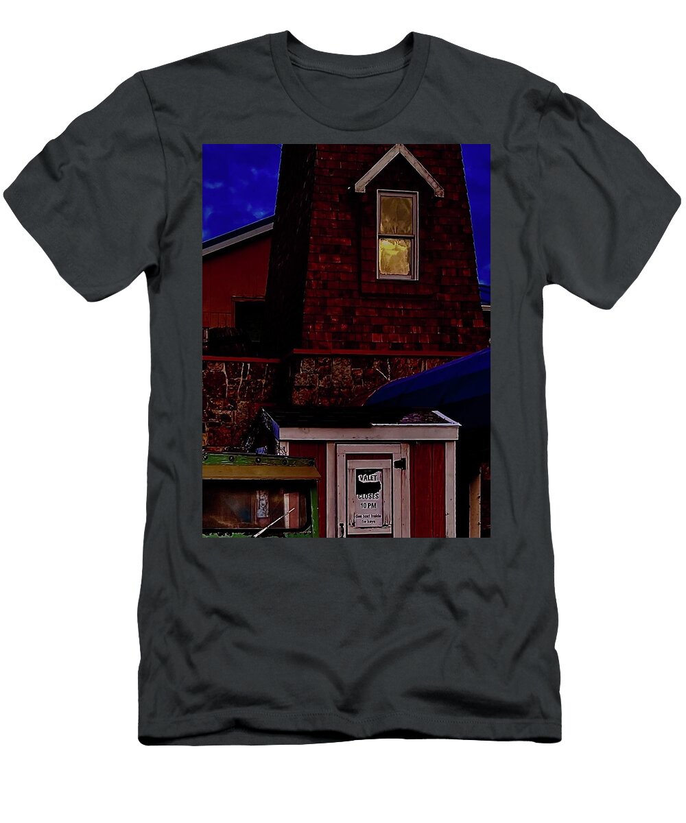Lady in the Window Nicholas Stincic T-Shirt