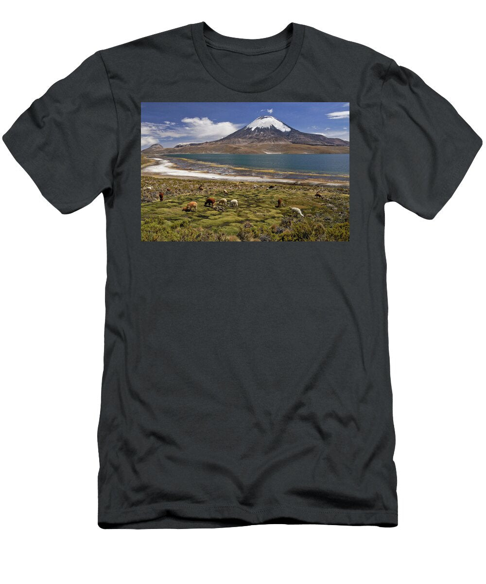 Lago Chungara and Volcan Parinacota Michele Burgess T-Shirt