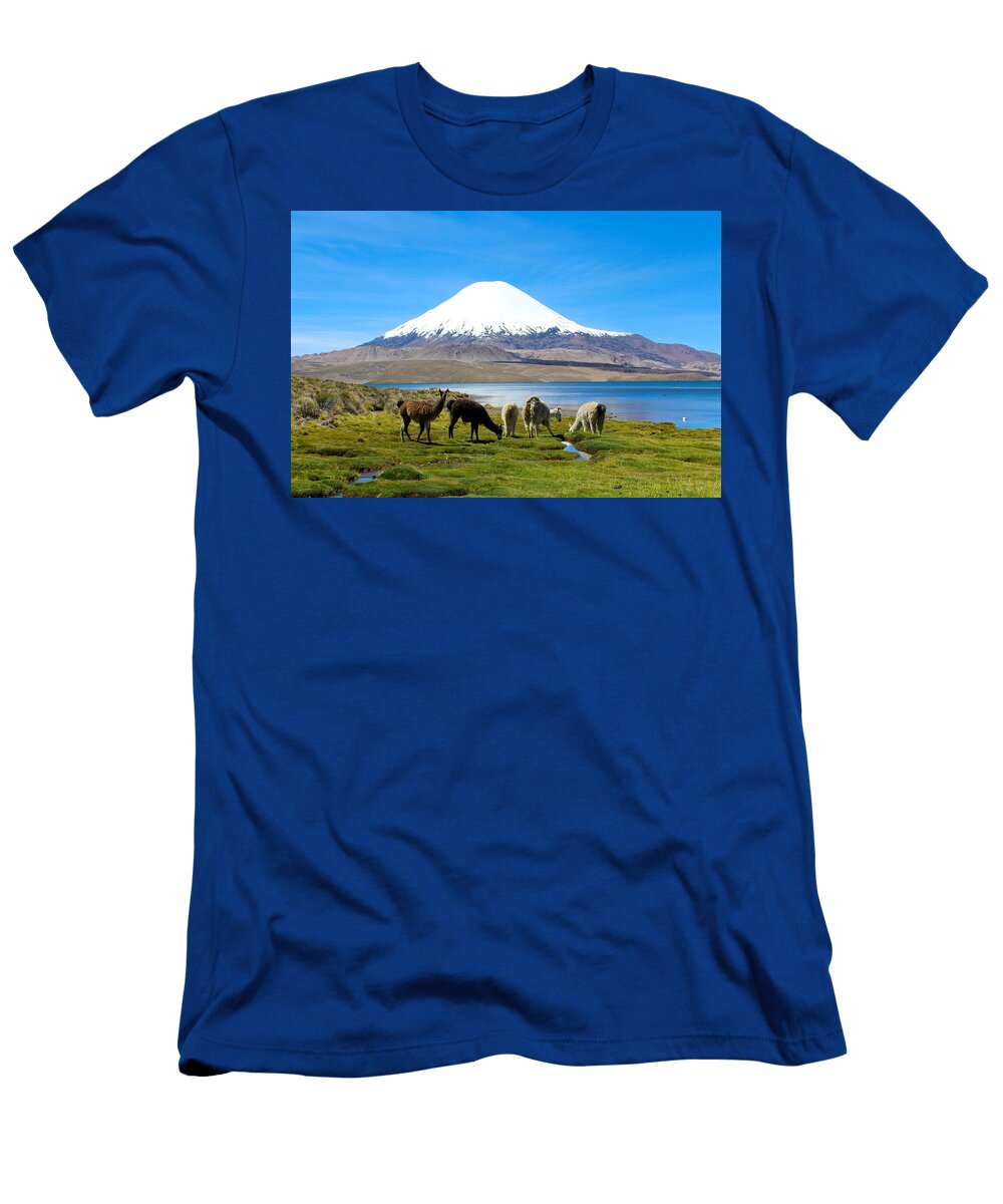 Lake Chungara Chilean Andes Kurt Van Wagner T-Shirt