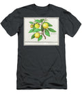 Lemon Citrus Limon 1596 1610 By Anselmus Boetius De Boodt Anselmus Boetius De Boodt T-Shirt