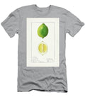 Lemon Citrus Limon 1912 By Ellen Isham Schutt Ellen Isham Schutt T-Shirt