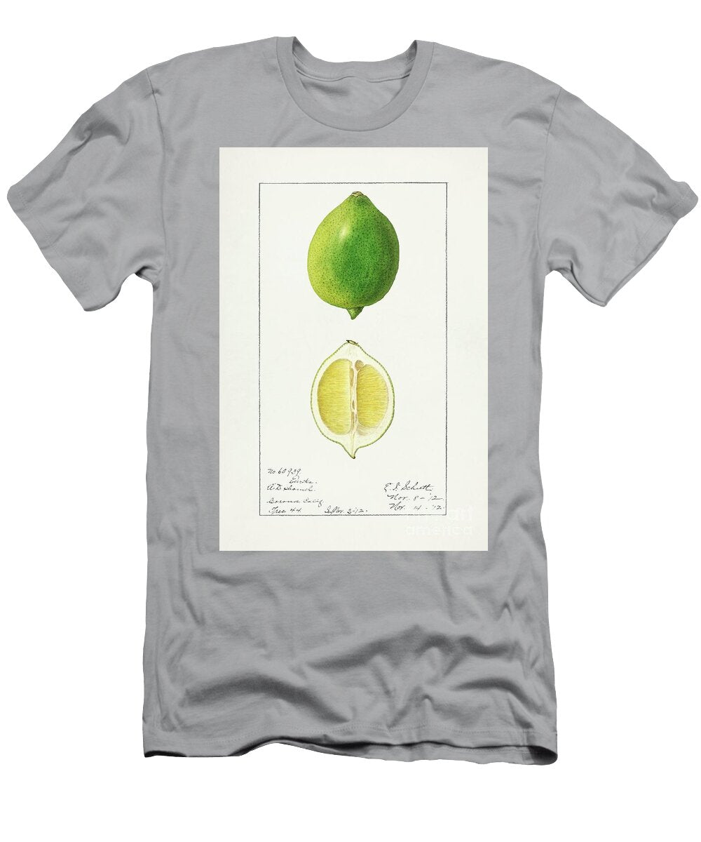 Lemon Citrus Limon 1912 By Ellen Isham Schutt Ellen Isham Schutt T-Shirt