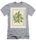 Lemon Citrus Limon Anselmus Boetius De Boodt 1596 1610 Anselmus Boetius De Boodt T-Shirt