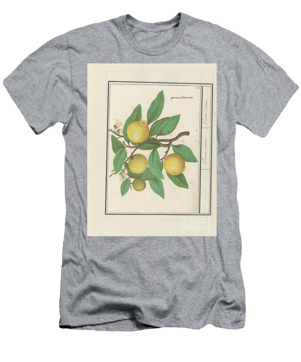 Lemon Citrus Limon Anselmus Boetius De Boodt 1596 1610 Anselmus Boetius De Boodt T-Shirt
