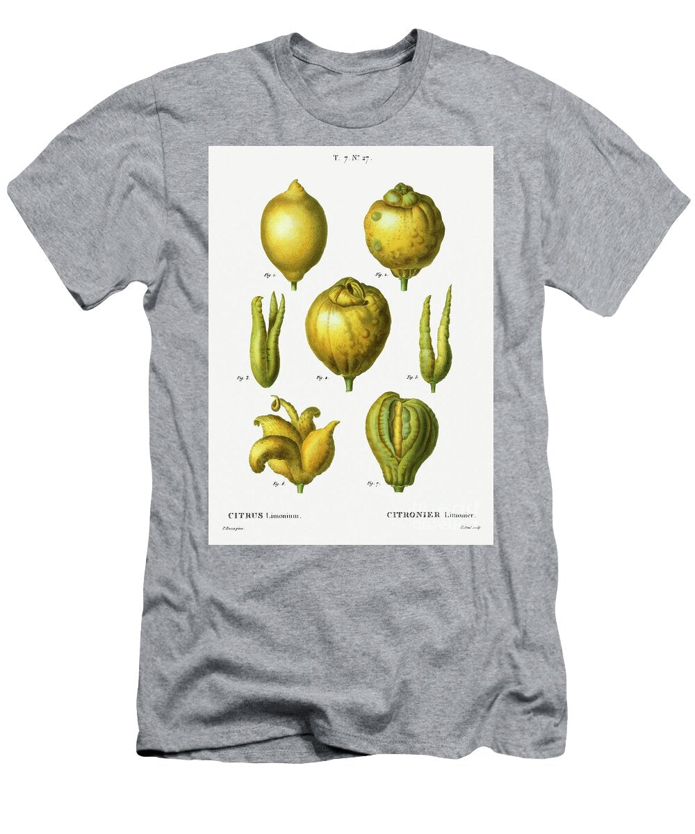 Lemon Citrus Limonium From Traite Des Arbres Et Arbustes Que Lon Cultive En France En Pleine Terre Pierre Joseph Redoute T-Shirt