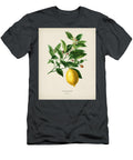 Lemon Citrus Limonium Illustrated By Charles Dessalines D Orbigny 1806 1876 Celestial Images T-Shirt