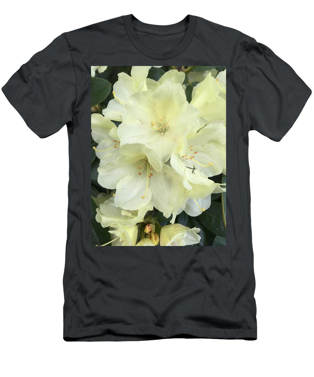 Lemon Dream Cheri Ceridwen T-Shirt