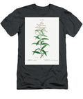 Lemon Verbena Verbena Triphylla From Traite Des Arbres Et Arbustes Que Lon Cultive En France En Pl Pierre Joseph Redoute T-Shirt