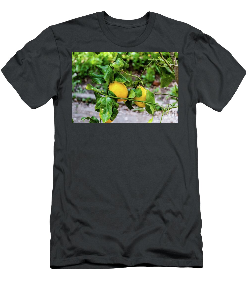 Lemons Adriana Sulugiuc T-Shirt