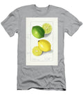 Lemons Citrus Limon 1908 By Ellen Isham Schutt Ellen Isham Schutt T-Shirt