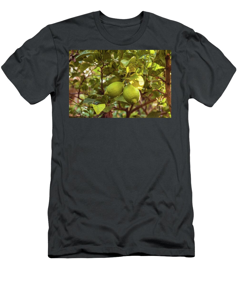 Lemons on an Italian Tree Robert Niemeier T-Shirt