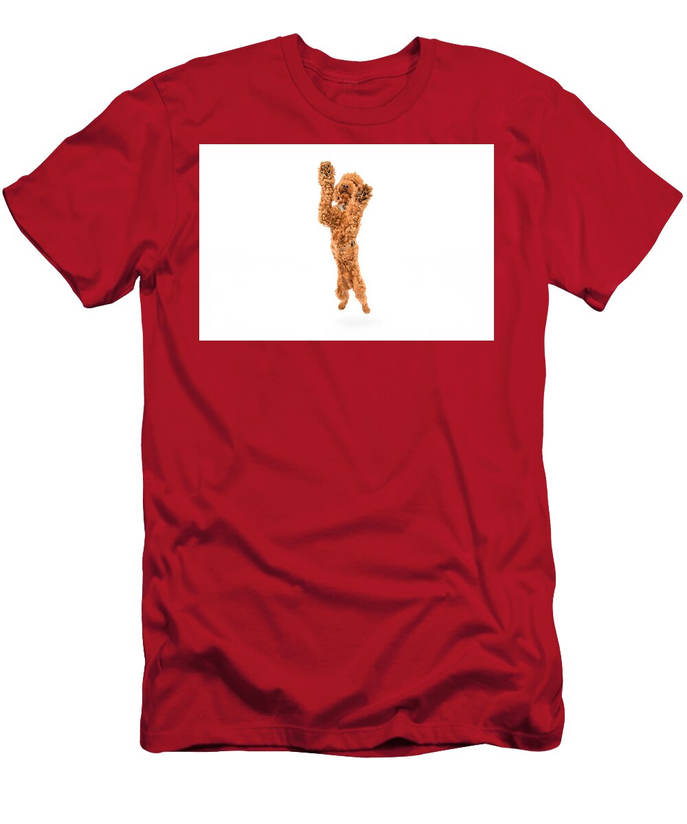 Leo Jump Paul Sears Resilient Rover T-Shirt