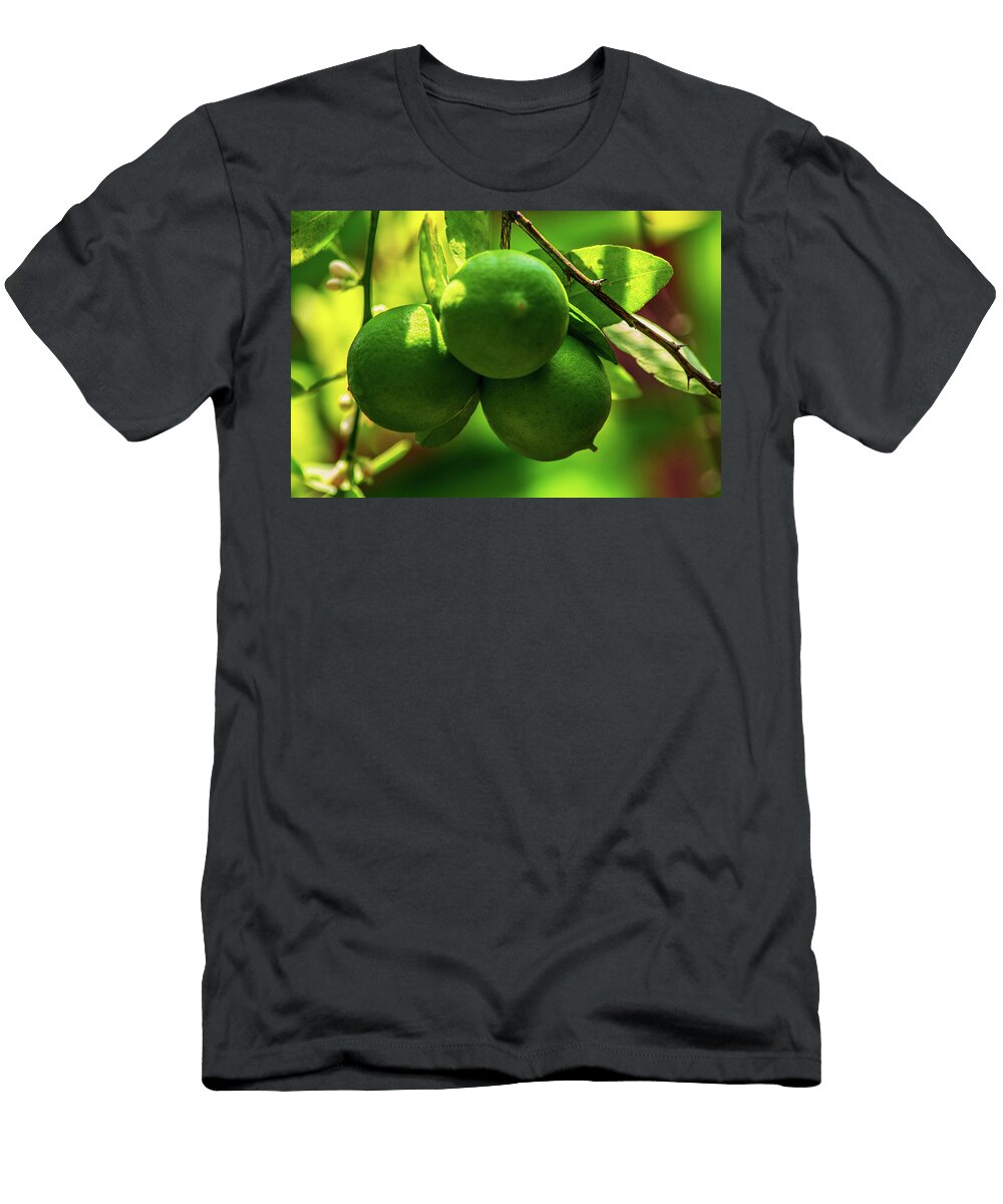Limon El Salvador Totto Ponce T-Shirt