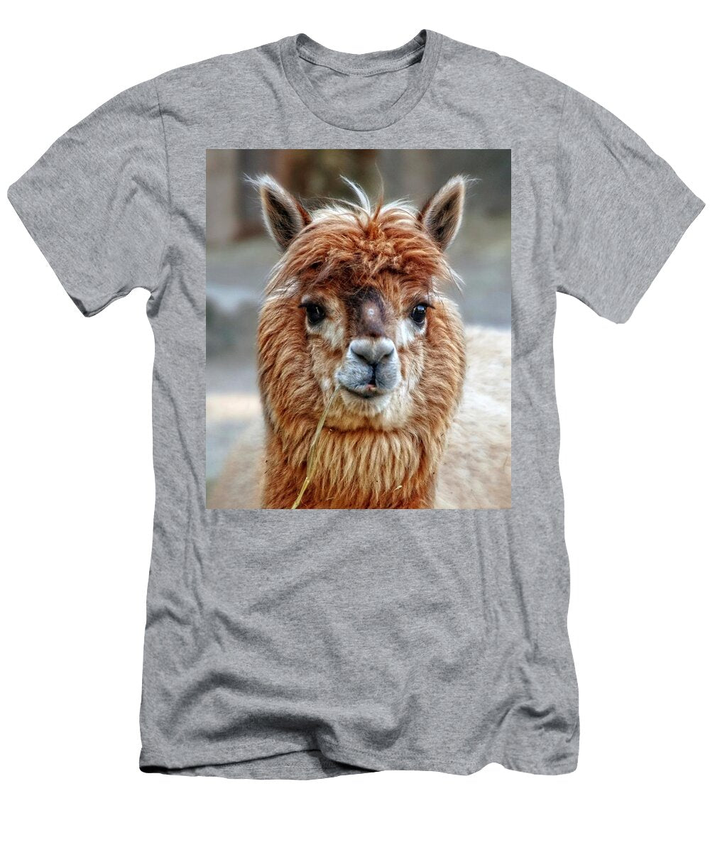 Llama Alpaca Animal Photography Les Classics T-Shirt