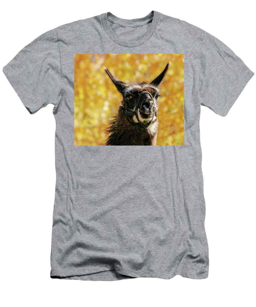 Llama Attitude Jean Noren T-Shirt