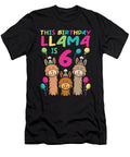 Llama Birthday 6th Birthday Party Alpaca Girl Colorfulsnow T-Shirt