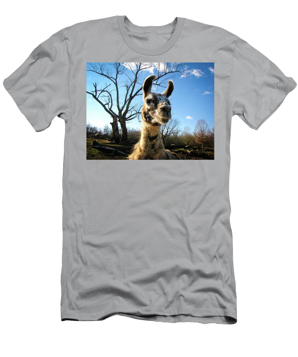 Llama Drama Jessica Brawley T-Shirt