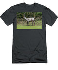 Llama Grazing in a Field B2 Ilan Rosen T-Shirt