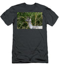 Llama Grazing in a Field B3 Ilan Rosen T-Shirt