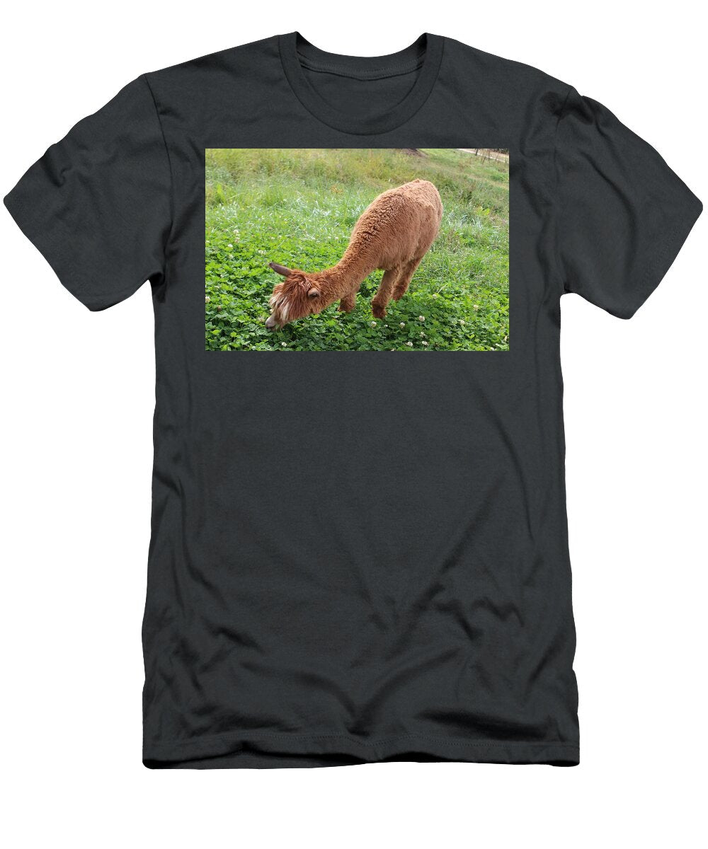 Llama Grazing Les Classics T-Shirt
