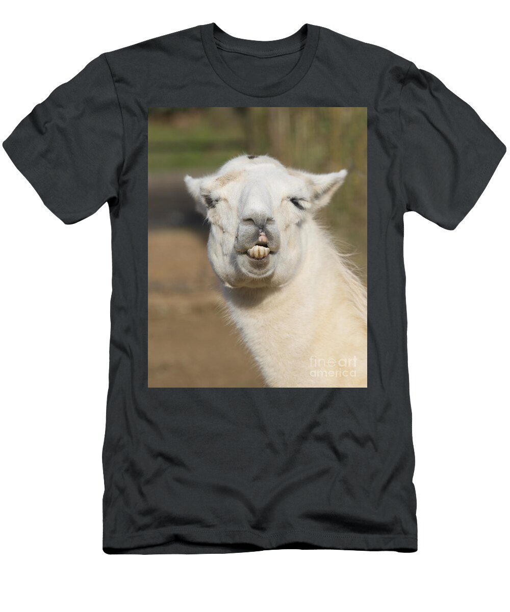 Llama Grin Rob Hawkins T-Shirt
