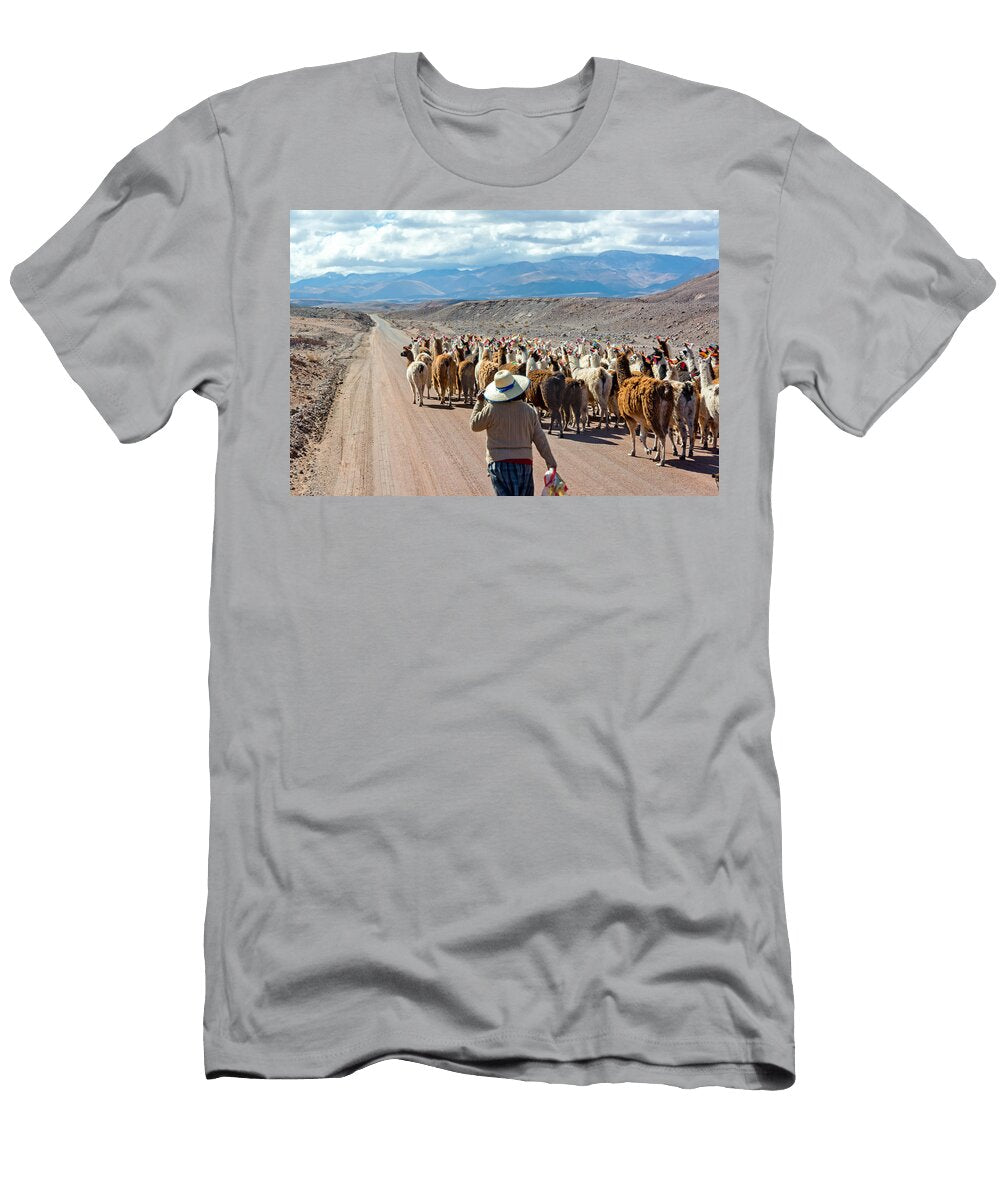 Llama Herd on Road Jess Kraft T-Shirt