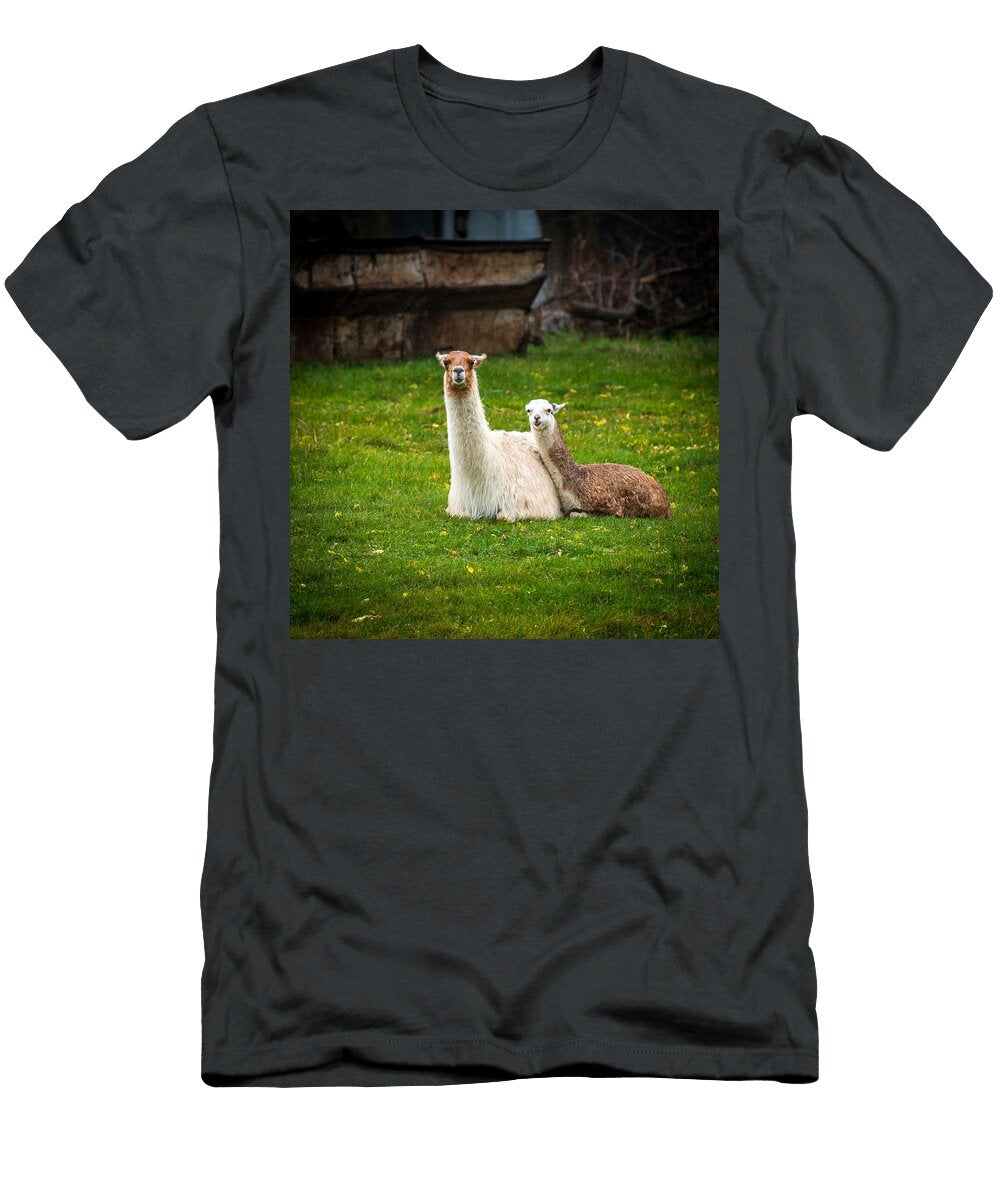 Llama Mamma Paul Freidlund T-Shirt