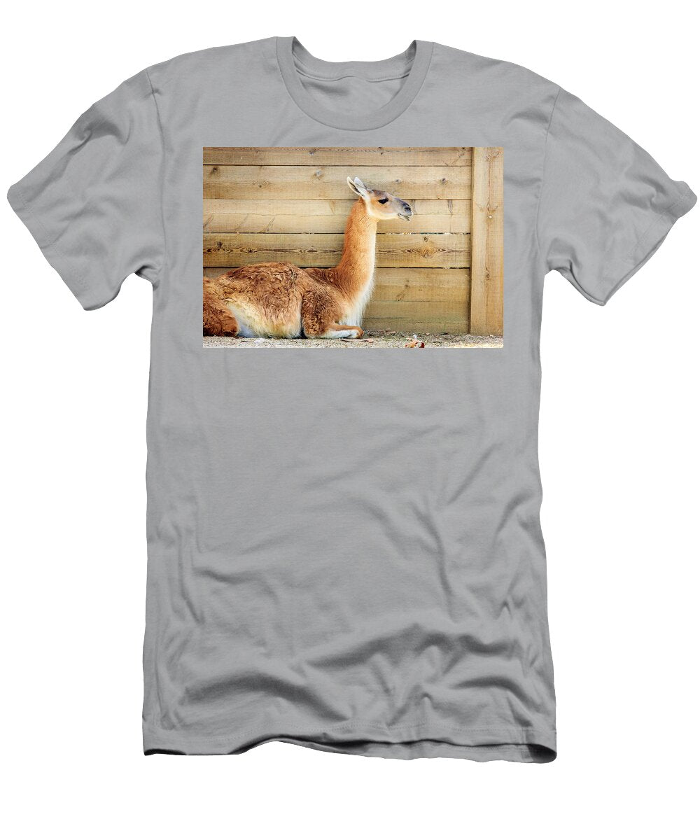 Llama Patrycja Polechonska T-Shirt