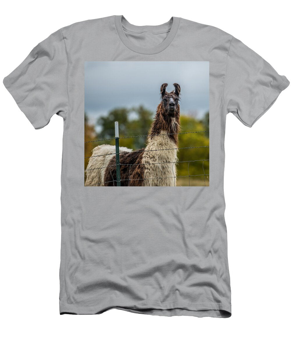 Llama Paul Freidlund T-Shirt