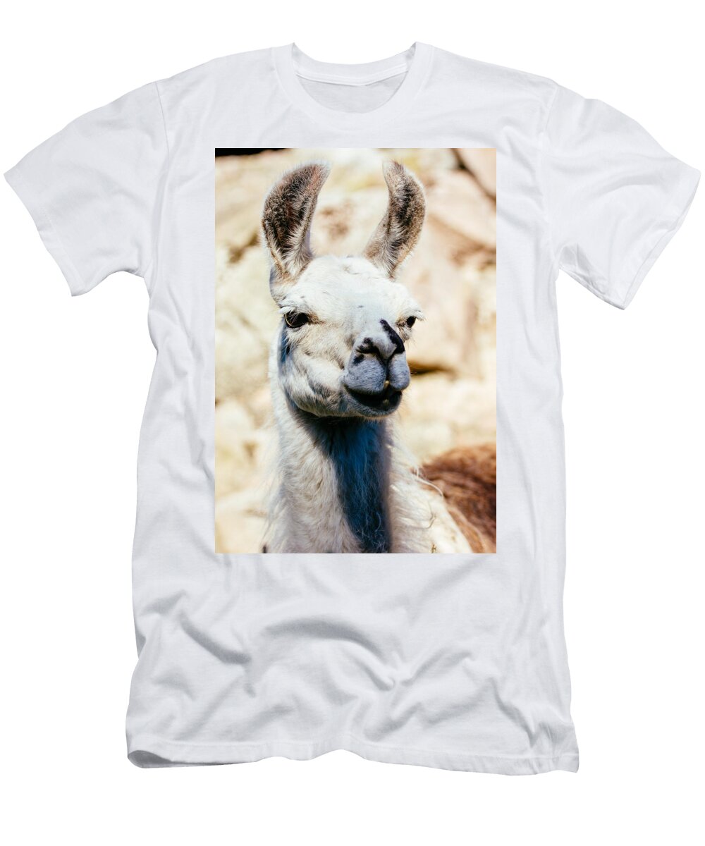 Llama Portrait Pati Photography T-Shirt