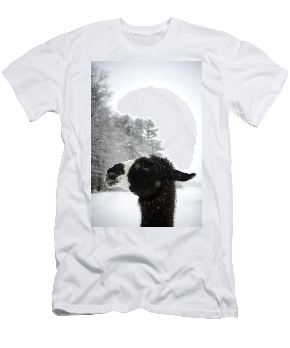 Llama Profile in Snowfall Maine New Peter Dennen T-Shirt