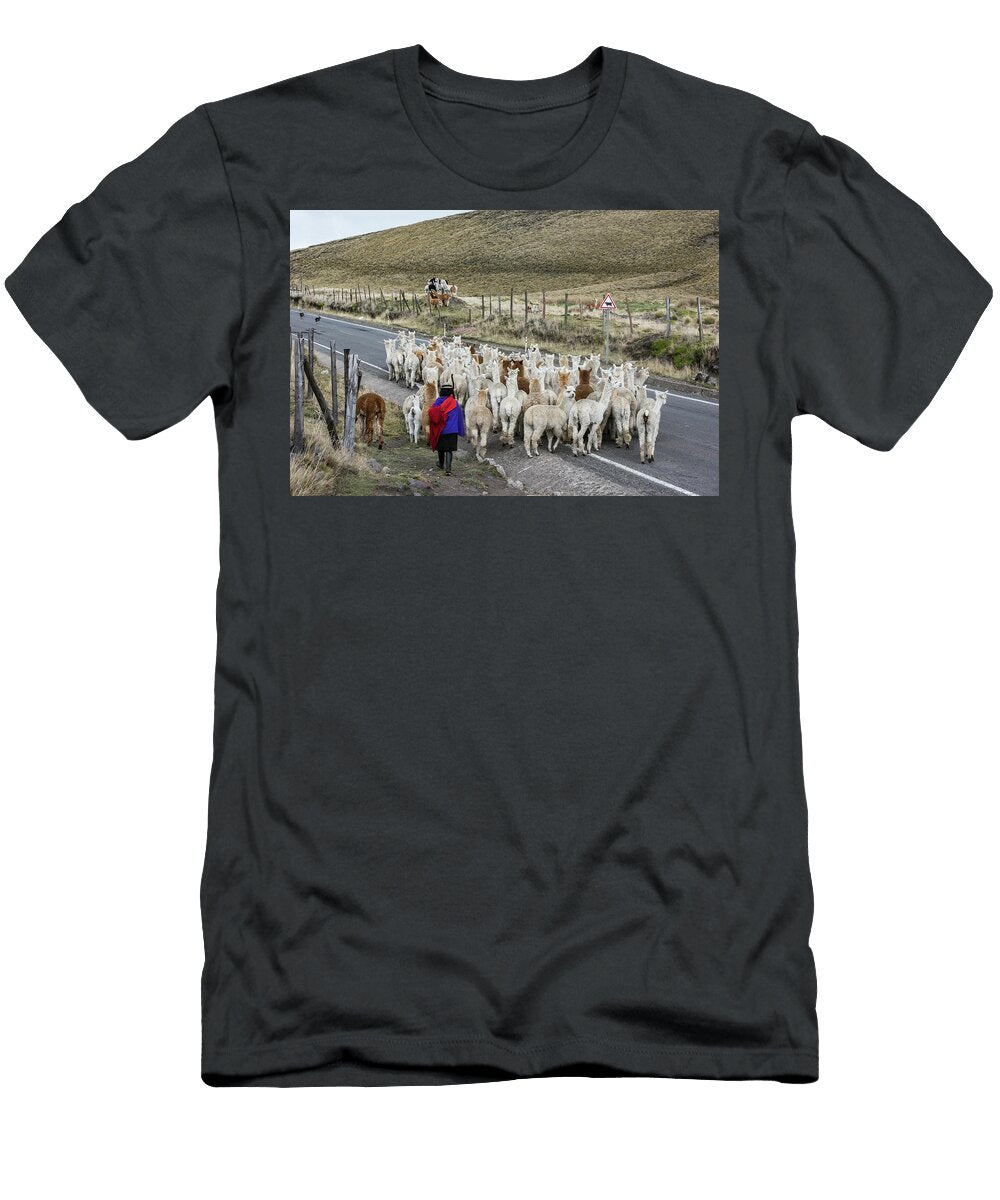 Local Quichua Man Herding Alpaca Near Chimborazo Ecuador Pete Oxford Natureplcom T-Shirt
